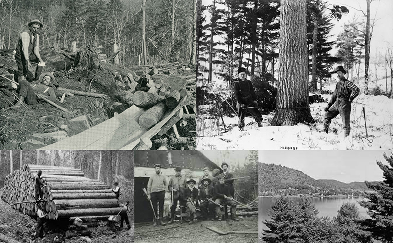 Câu Chuyện Về Ghế Gỗ Adirondack 4 Adirondack