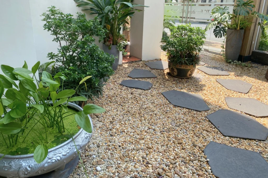 Sỏi Rải Sân Vườn: Cách Bố Trí Tạo Điểm Nhấn Độc Đáo Cho Không Gian 2 Lối đi sân vườn lát sỏi và đá bước dặm, bao quanh bởi cây xanh và ánh sáng tự nhiên.
