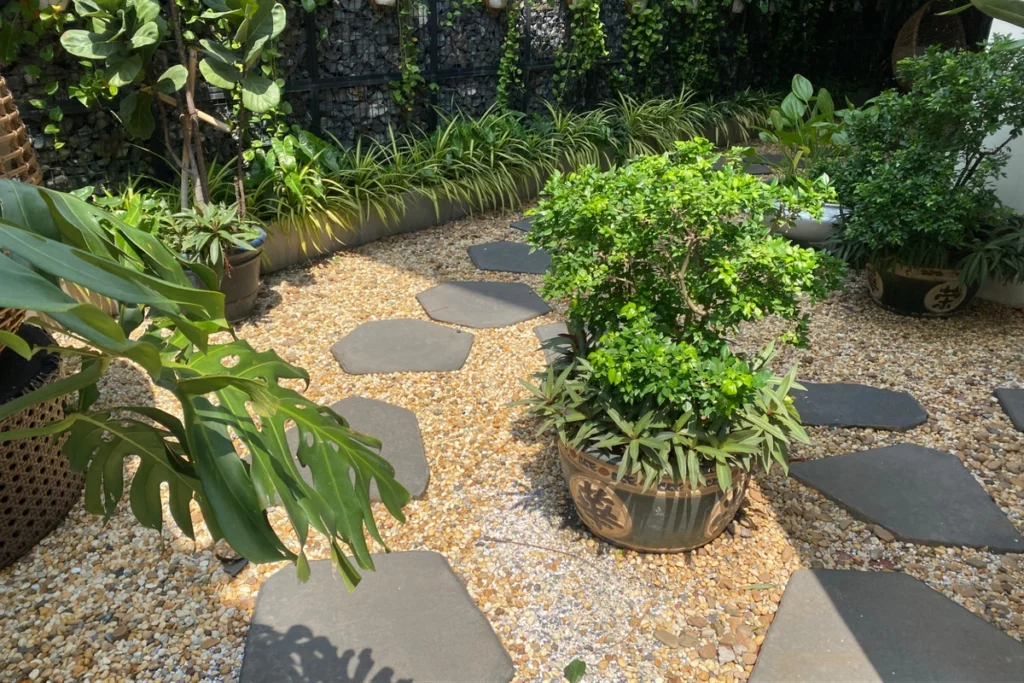 Sỏi Rải Sân Vườn: Cách Bố Trí Tạo Điểm Nhấn Độc Đáo Cho Không Gian 1 Lối đi sỏi rải sân vườn với đá bước dặm trên nền sỏi vàng và tiểu cảnh xanh mát.