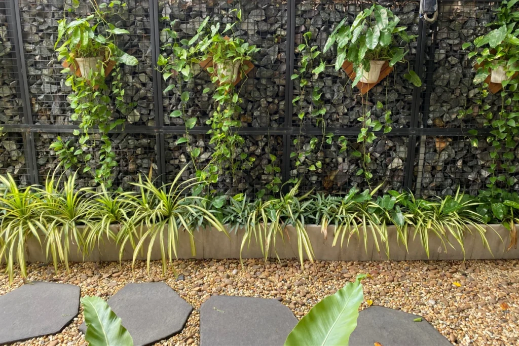 Sỏi Rải Sân Vườn: Cách Bố Trí Tạo Điểm Nhấn Độc Đáo Cho Không Gian 9 Không gian sân vườn với sỏi rải nền, tường đá đen và hàng cây viền xanh mướt.