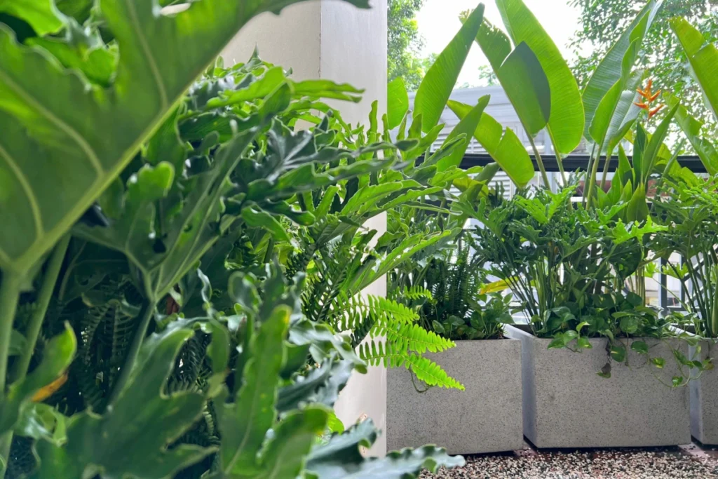 15 Ý Tưởng Decor Ban Công Đẹp Cho Cuộc Sống Thêm Chill 12 Không gian ban công theo phong cách Nhật Bản, trồng nhiều cây xanh tạo cảm giác tĩnh lặng và thư giãn như khu vườn thiền.