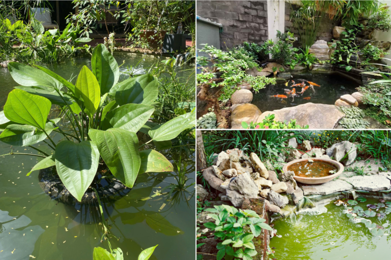 Ba kiểu hồ cá với kích thước và bố trí khác nhau, phù hợp từng không gian sân vườn