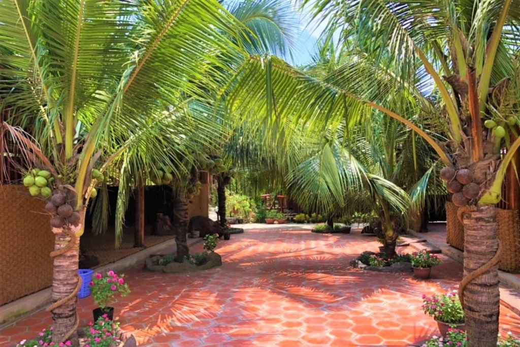 +10 Cây Trang Trí Sân Vườn Dễ Trồng Bạn Không Nên Bỏ Lỡ 5 Hàng cây dừa xanh mát được trồng trong sân vườn biệt thự, tạo bóng râm và không gian thư giãn gần gũi với thiên nhiên.