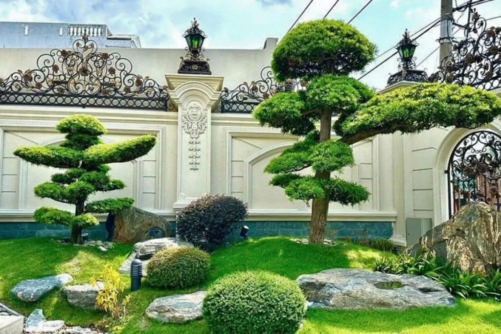 Đồi cỏ nhô lên 2 bên, 2 cây lớn, 3 bụi cây tròn, 8 tảng đá cuội và tất cả bao quanh bức tường trắng