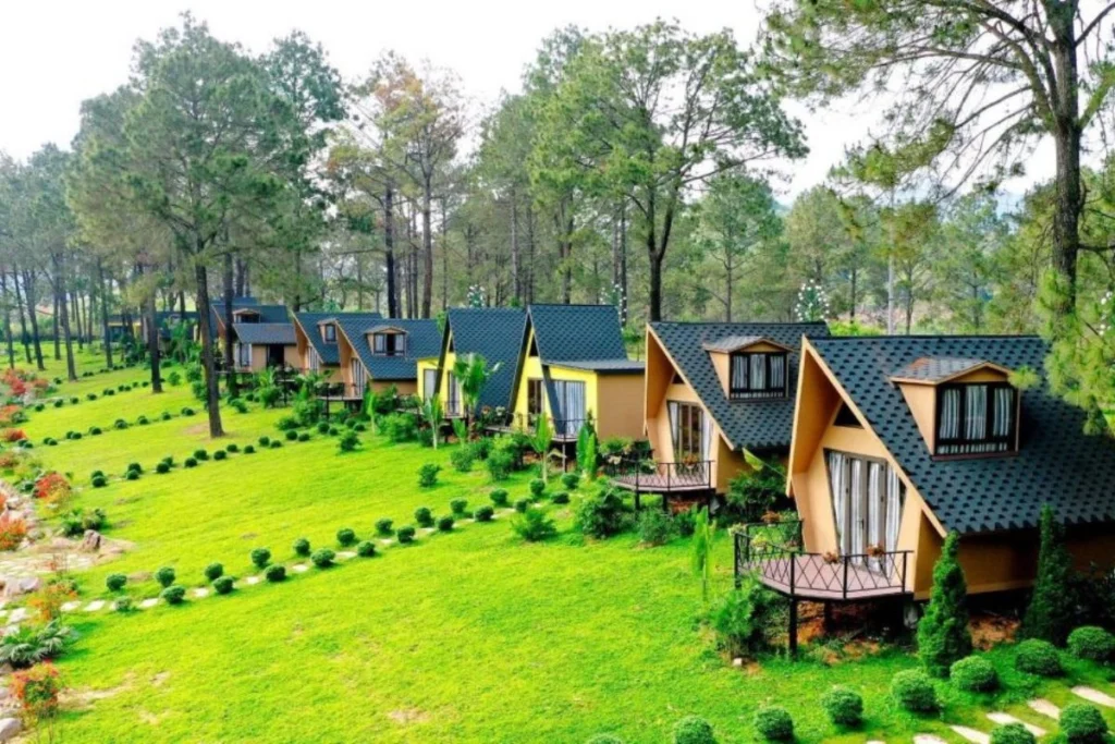 khu rừng đồi cỏ xanh, các cân nhà giống nhau, rừng cây xanh