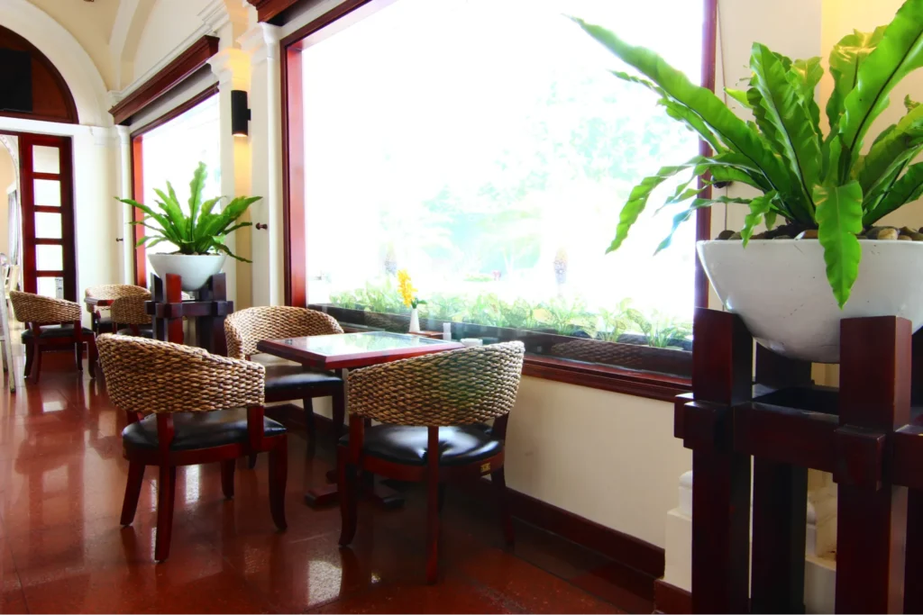 Không gian fine dining với bàn ghế mây tre sang trọng, ánh sáng tự nhiên tràn ngập và cây xanh trang trí tạo cảm giác thoáng đãng, tinh tế.  
