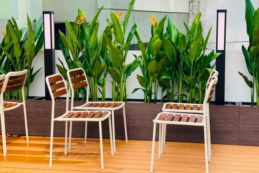 Cụm chậu cây xanh đặt liền nhau phía sau khu ghế ngồi ngoài trời, tạo điểm nhấn cho không gian.