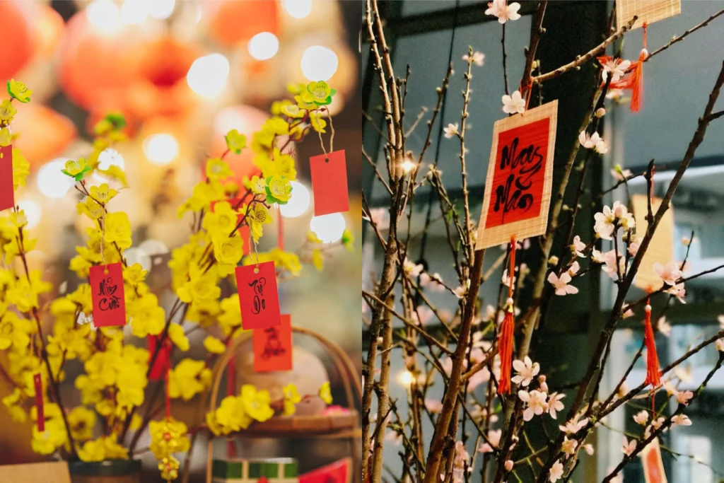 10+ Ý Tưởng Decor Tết Ngoài Trời Biến Sân Vườn Thành Thiên Đường Đón Xuân 11 Cây mai và cây đào được trang trí kèm những câu đối đỏ bắt mắt