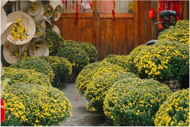 Lối đi gọn gàng với cách bố trị chậu hoa cho đường đi hợp lý