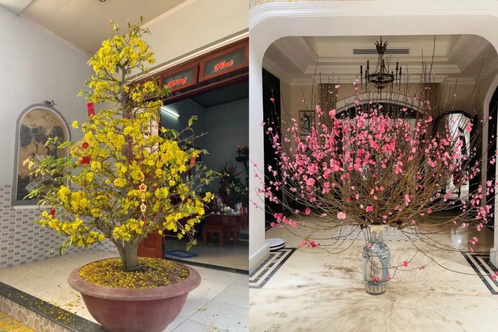 Cành hoa mai và hoa đào trang trí ngày Tết, đặt ở trung tâm để lan tỏa năng lượng tích cực và sự tươi mới.