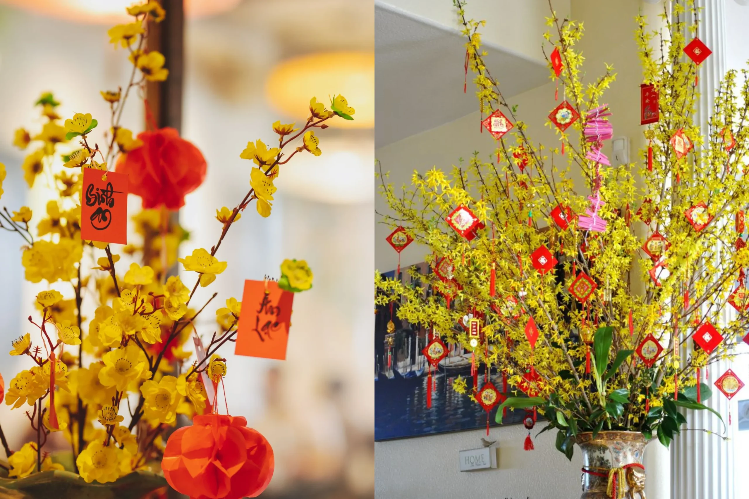 Chậu hoa mai chưng Tết kèm sắc đỏ bao lì xì trưng trong nhà.