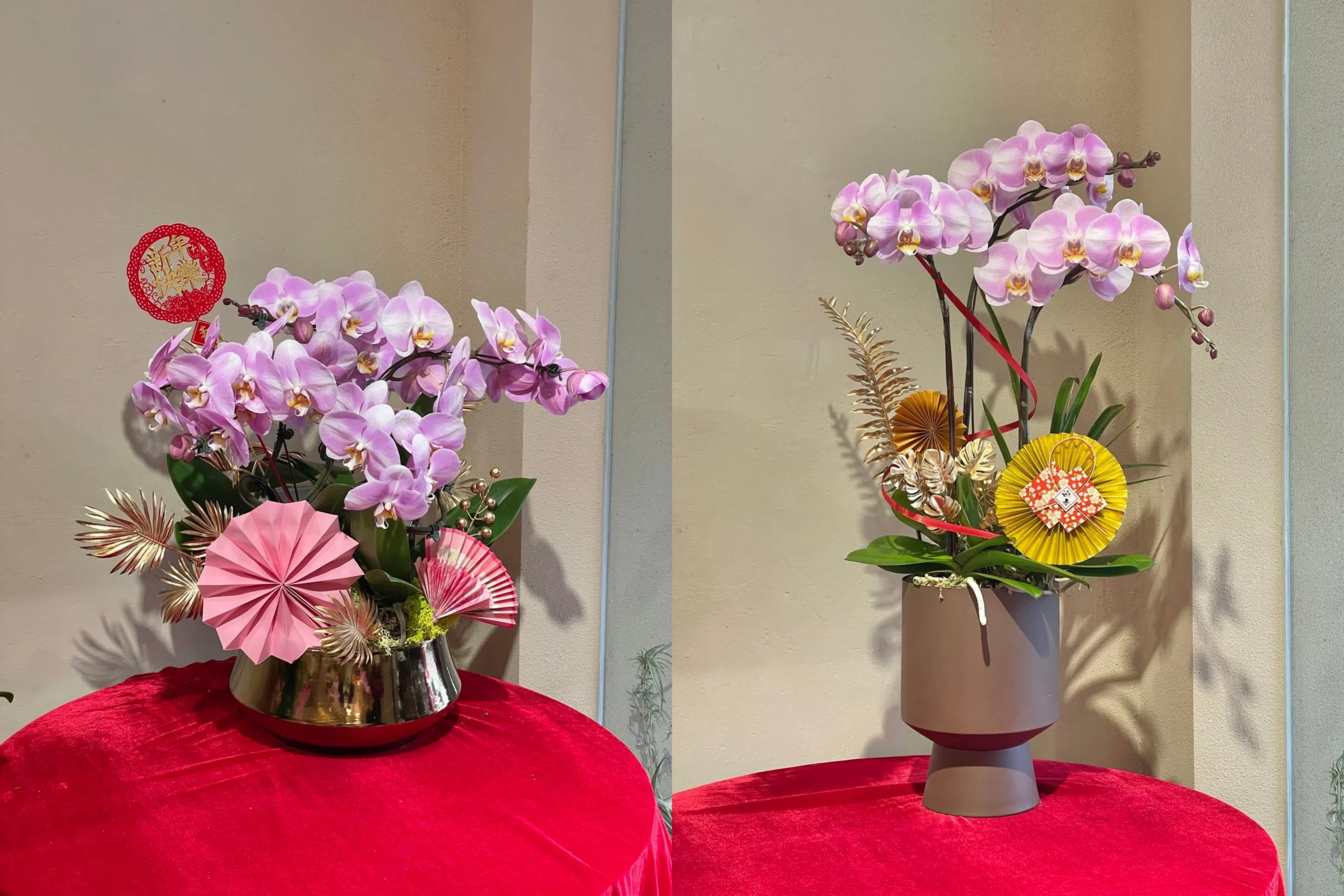 Chậu phong lan chưng Tết với sắc tím nhẹ, trang trí bàn phòng khách ngày xuân.