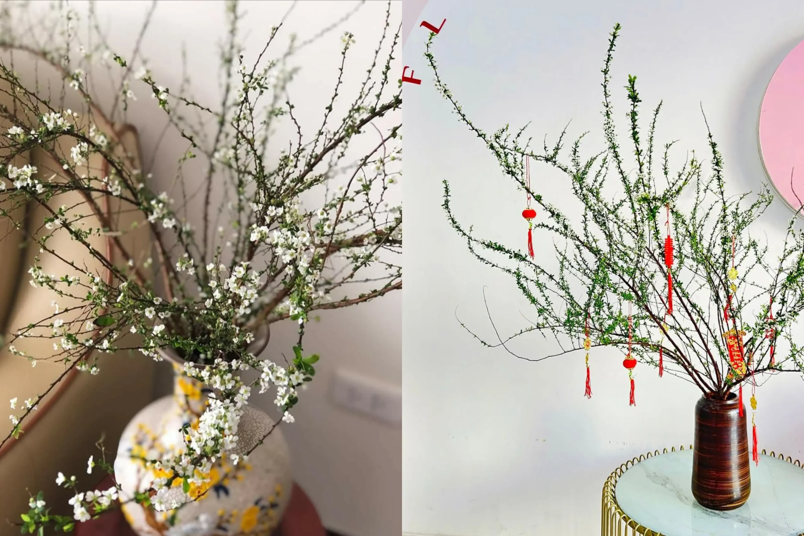 Cành tuyết mai chưng Tết trong bình gốm, trang trí không gian trong nhà với sắc trắng thanh nhã.