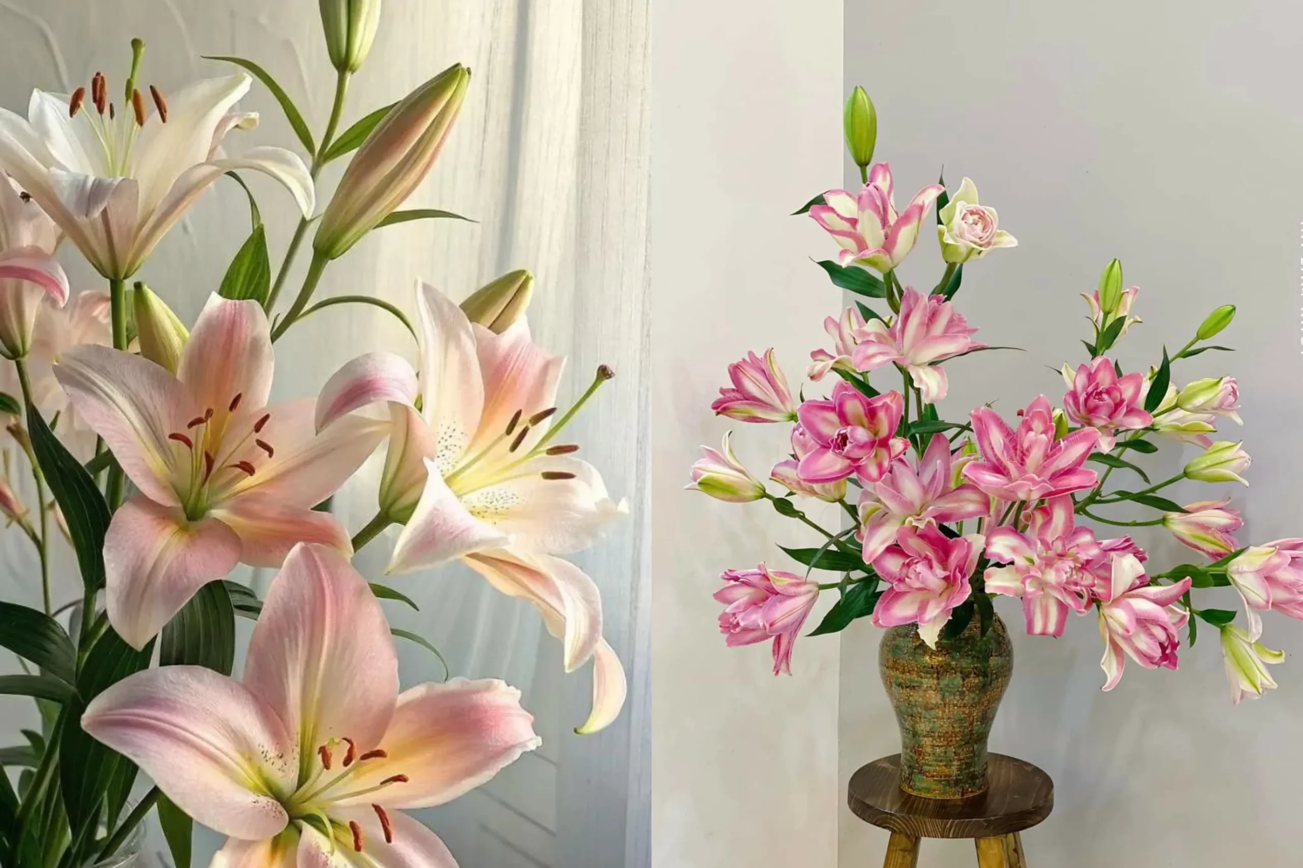 Bình hoa ly chưng Tết với gam hồng pastel, trang trí phòng khách ngày xuân.