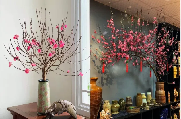 Những cành đào mảnh khảnh được trang trí thẩm mỹ trong chậu.