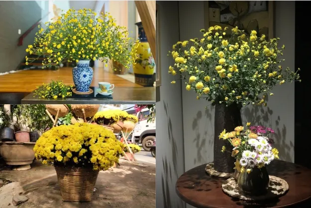 Chậu hoa cúc vàng chưng Tết đặt trong nhà, không khí xuân ấm áp.