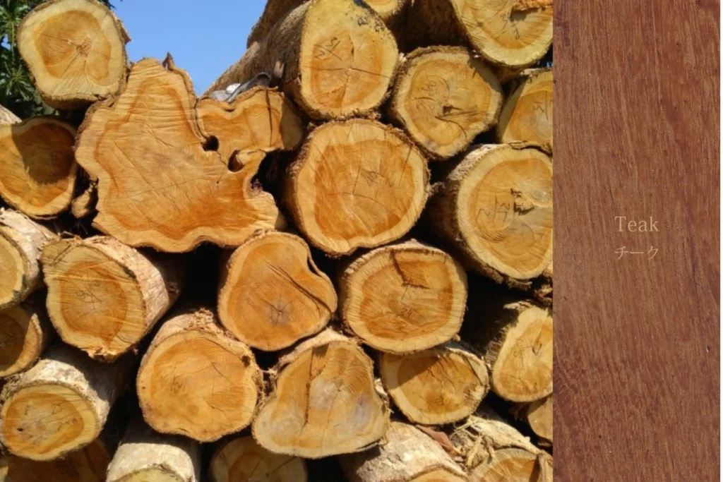 Mặt cắt thân gỗ teak với màu lõi vàng nâu và vân gỗ rõ nét chuyên dùng cho bàn gỗ ngoài trời.