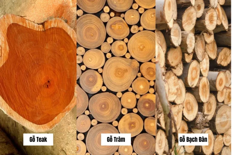 Hình ảnh đối chiếu gỗ teak gỗ tràm và gỗ bạch đàn với vân gỗ và màu sắc khác nhau